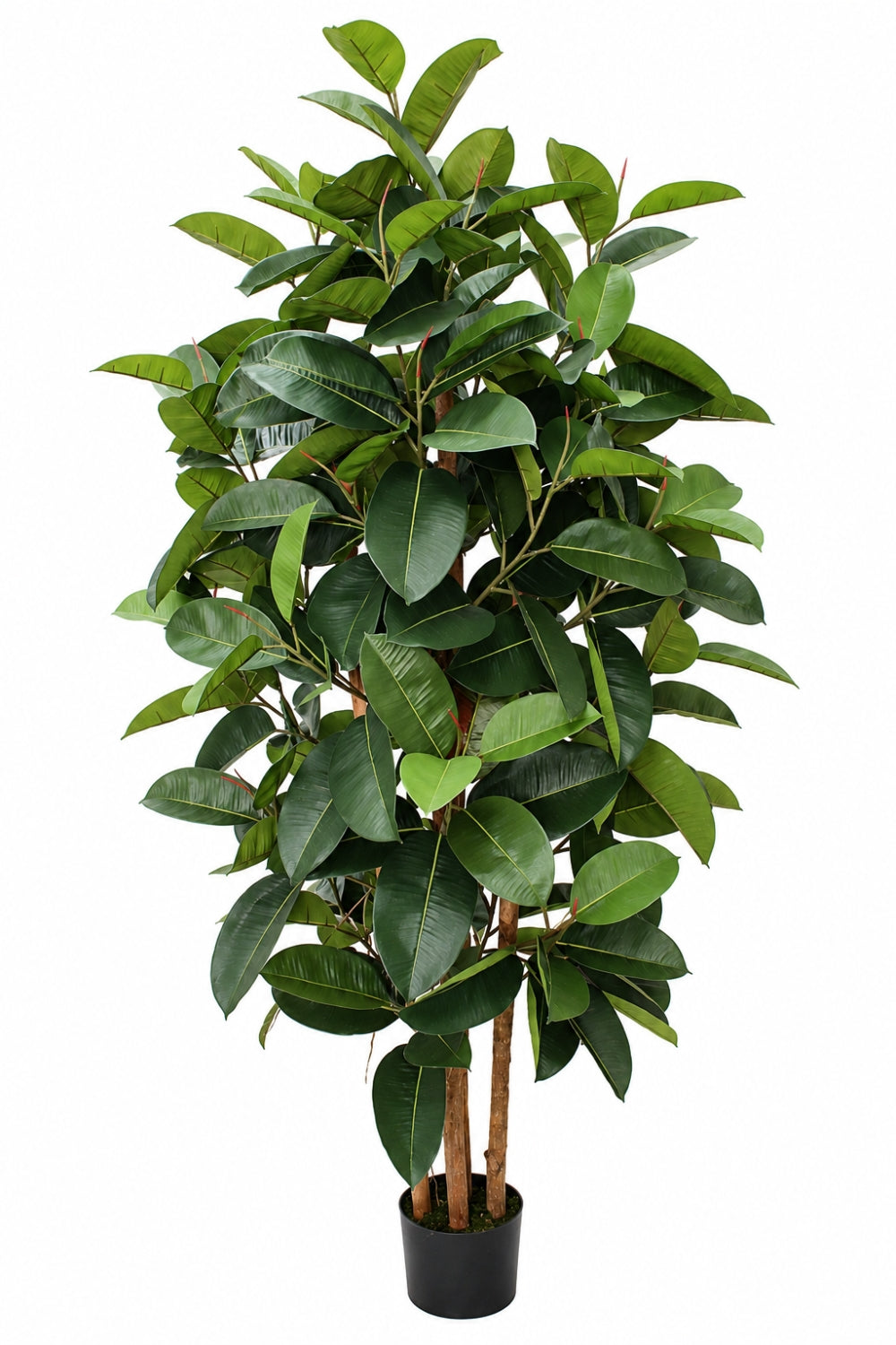 Ficus Elastica Kunstpflanze 180cm