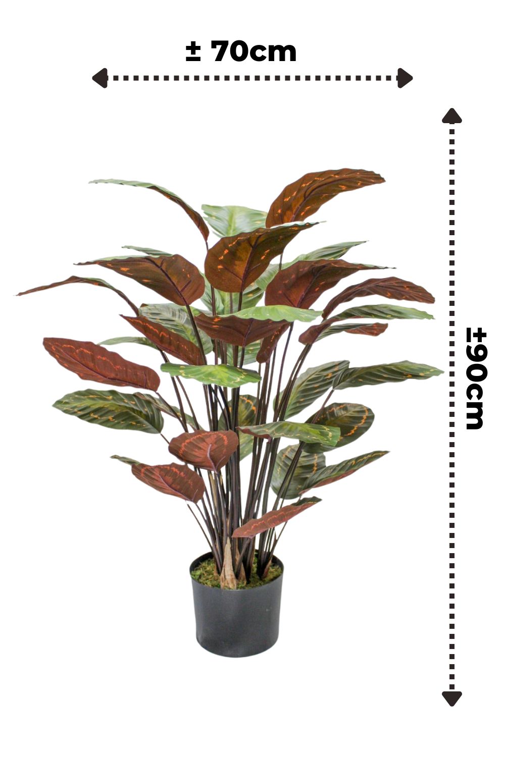 Calathea Kunstpflanze 90cm