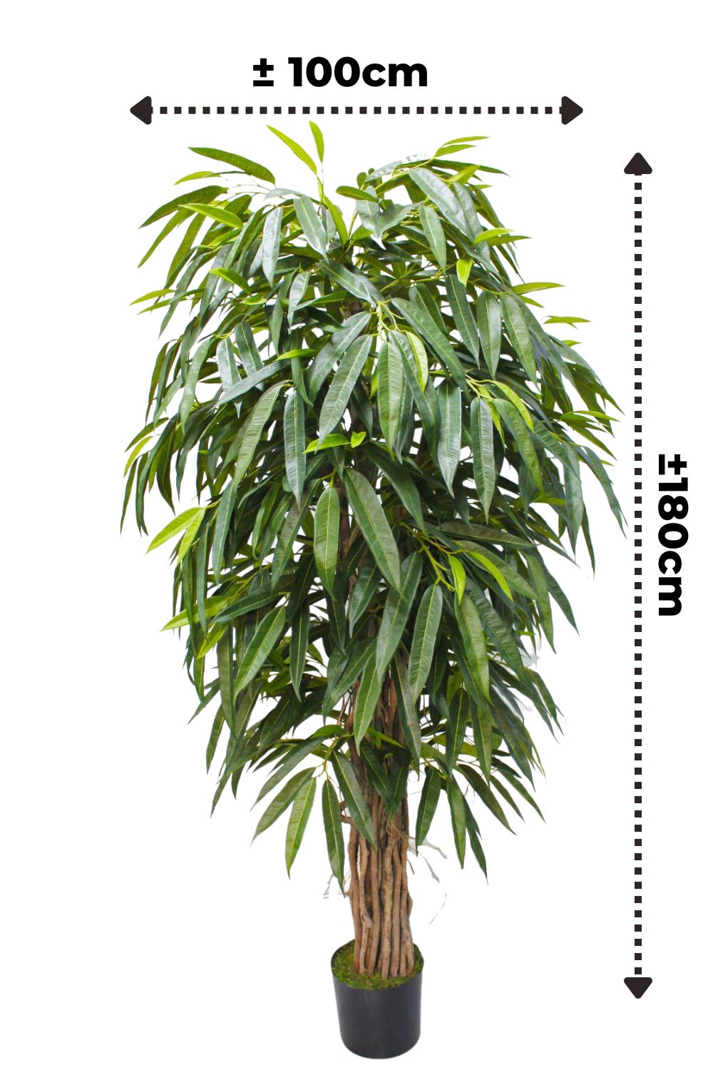 Longifolia Kunstpflanze 180 cm