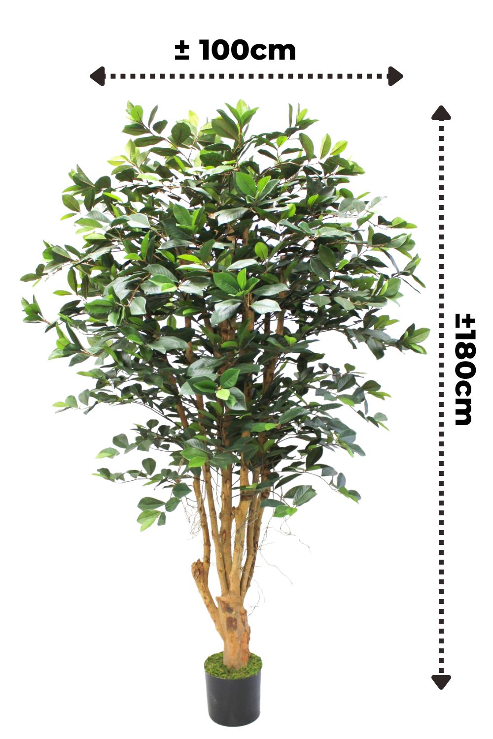 Ficus Kunstpflanze 180cm