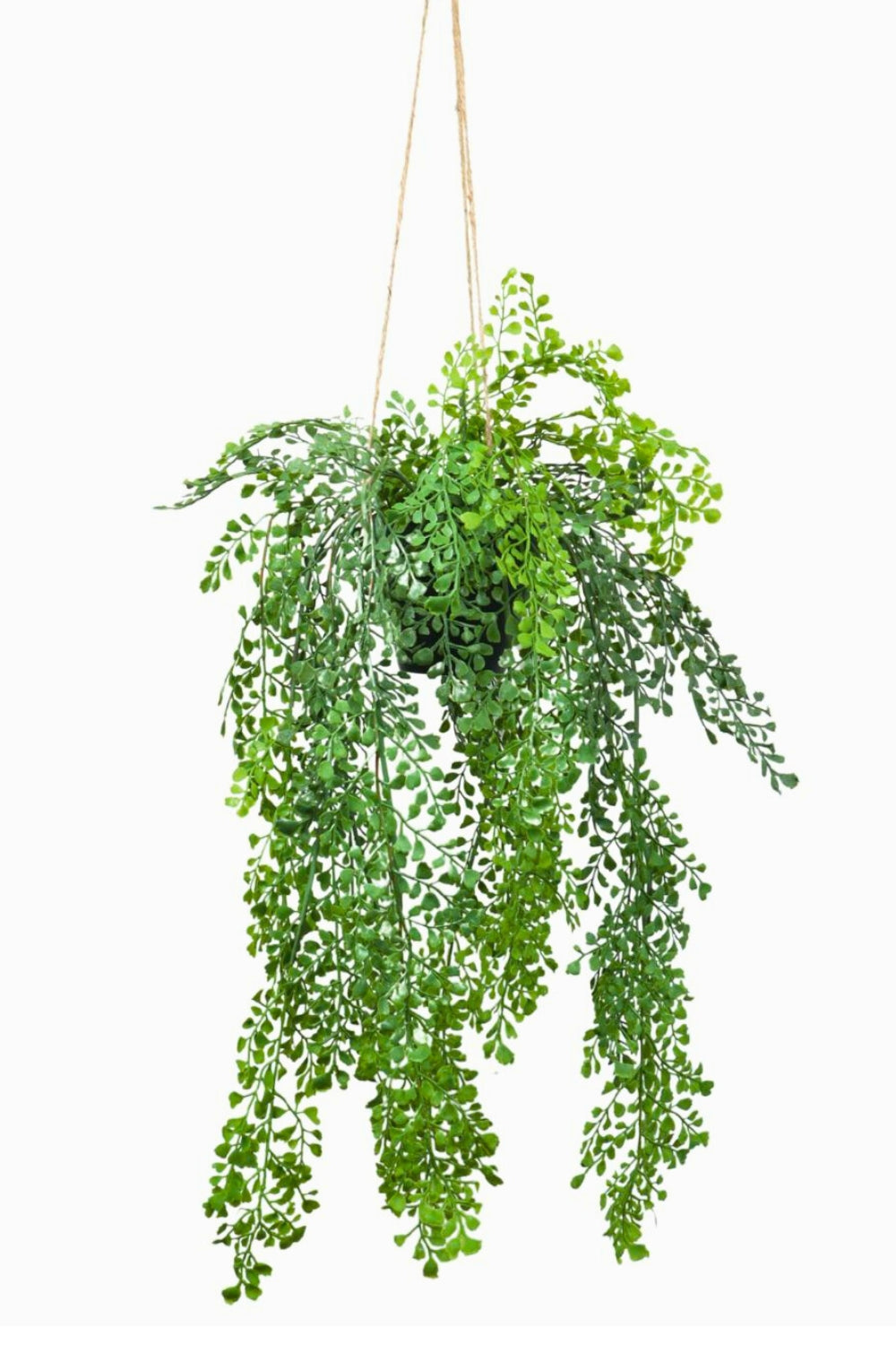 Adianthum Kunst Hangplant 110cm - PrettyPflanzen