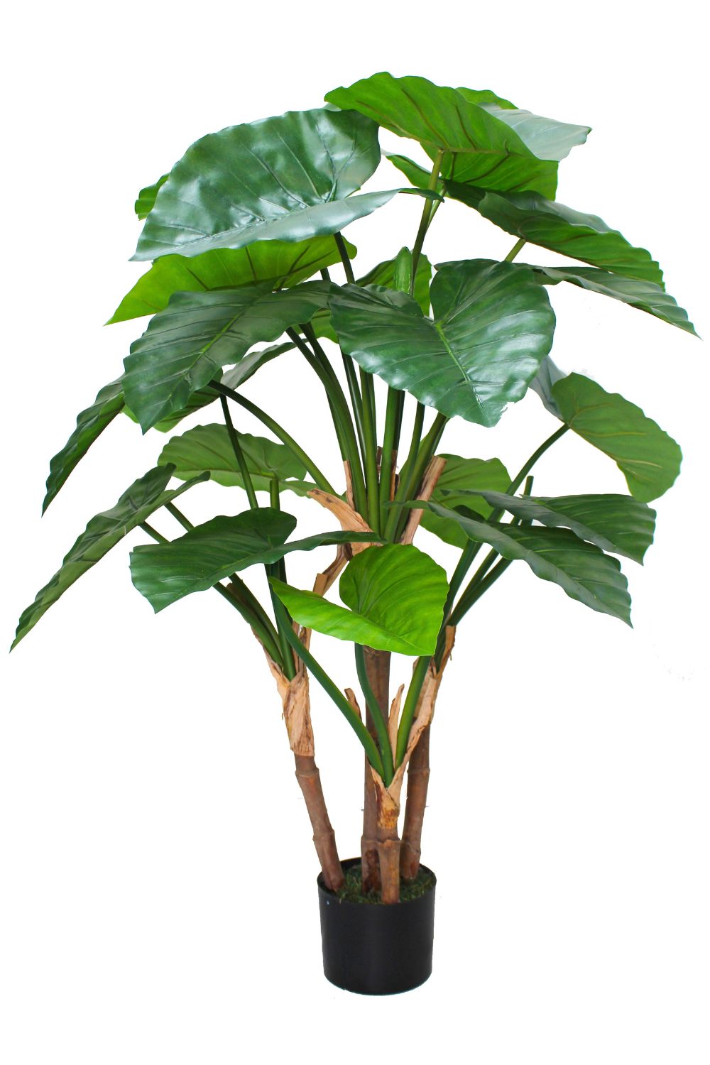 Alocasia Kunstpflanze 140cm
