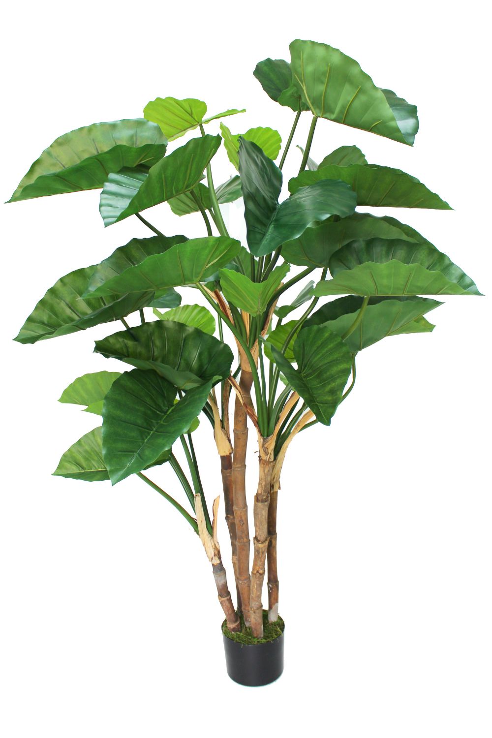 Alocasia Kunstpflanze 165cm