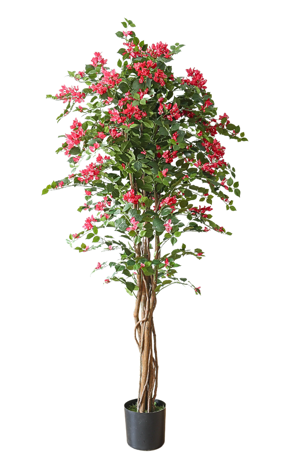 Bougainvillea Kunstpflanze 180 cm günstig online kaufen