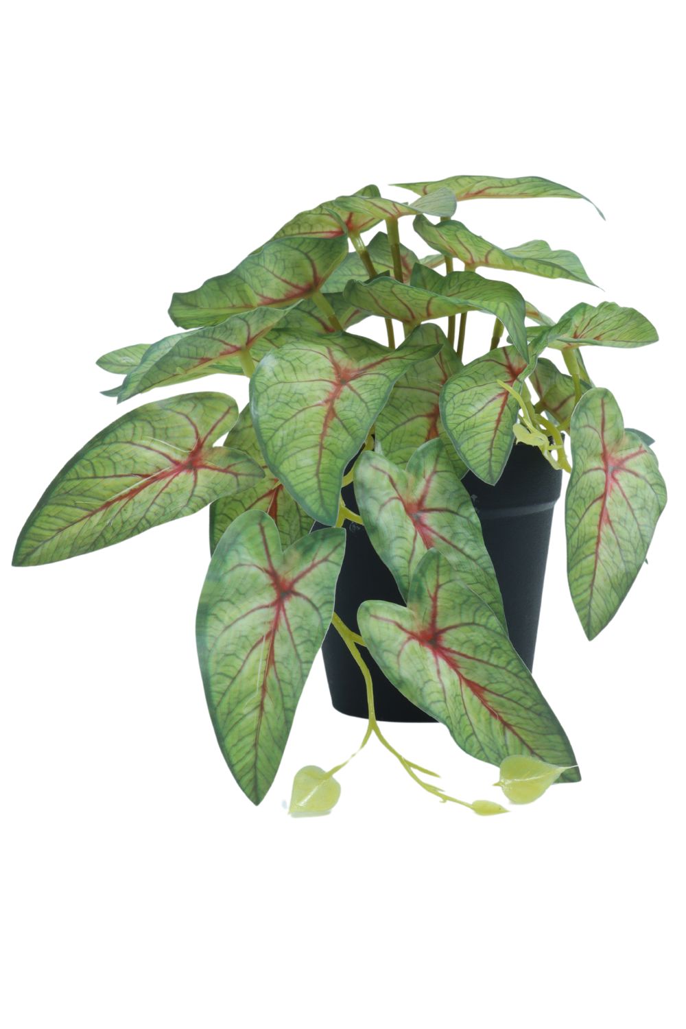 Caladium Kunstpflanze 17 cm – prettypflanzen