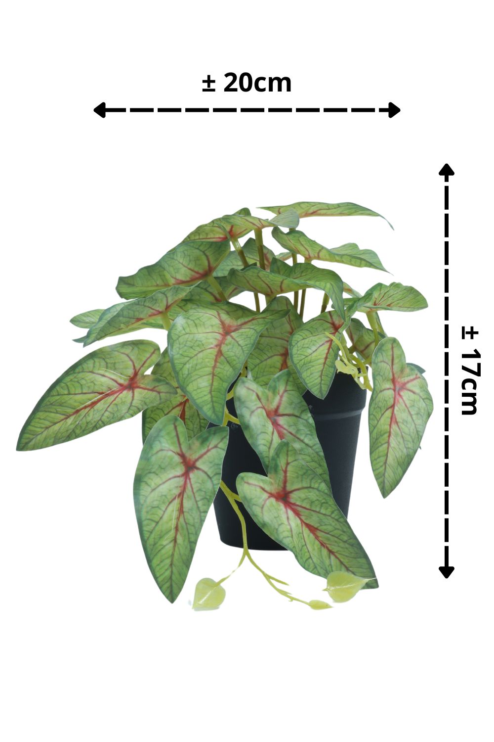 Caladium Kunstpflanze 17 cm – prettypflanzen
