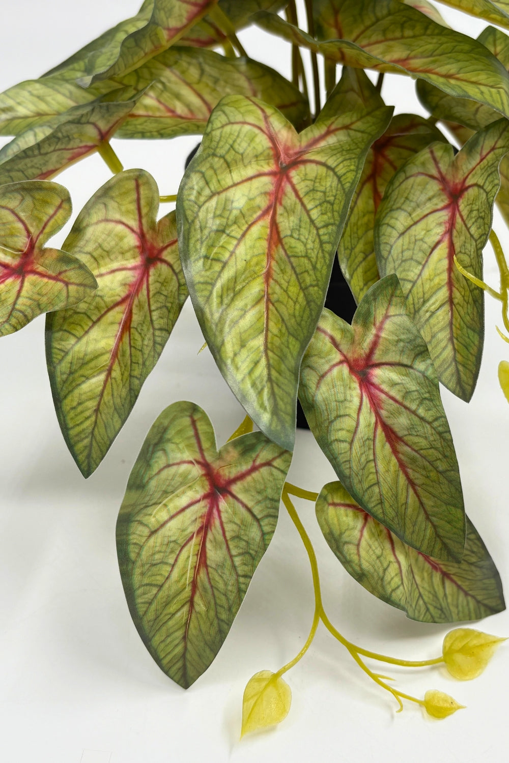 Caladium Kunstpflanze 17 cm – prettypflanzen