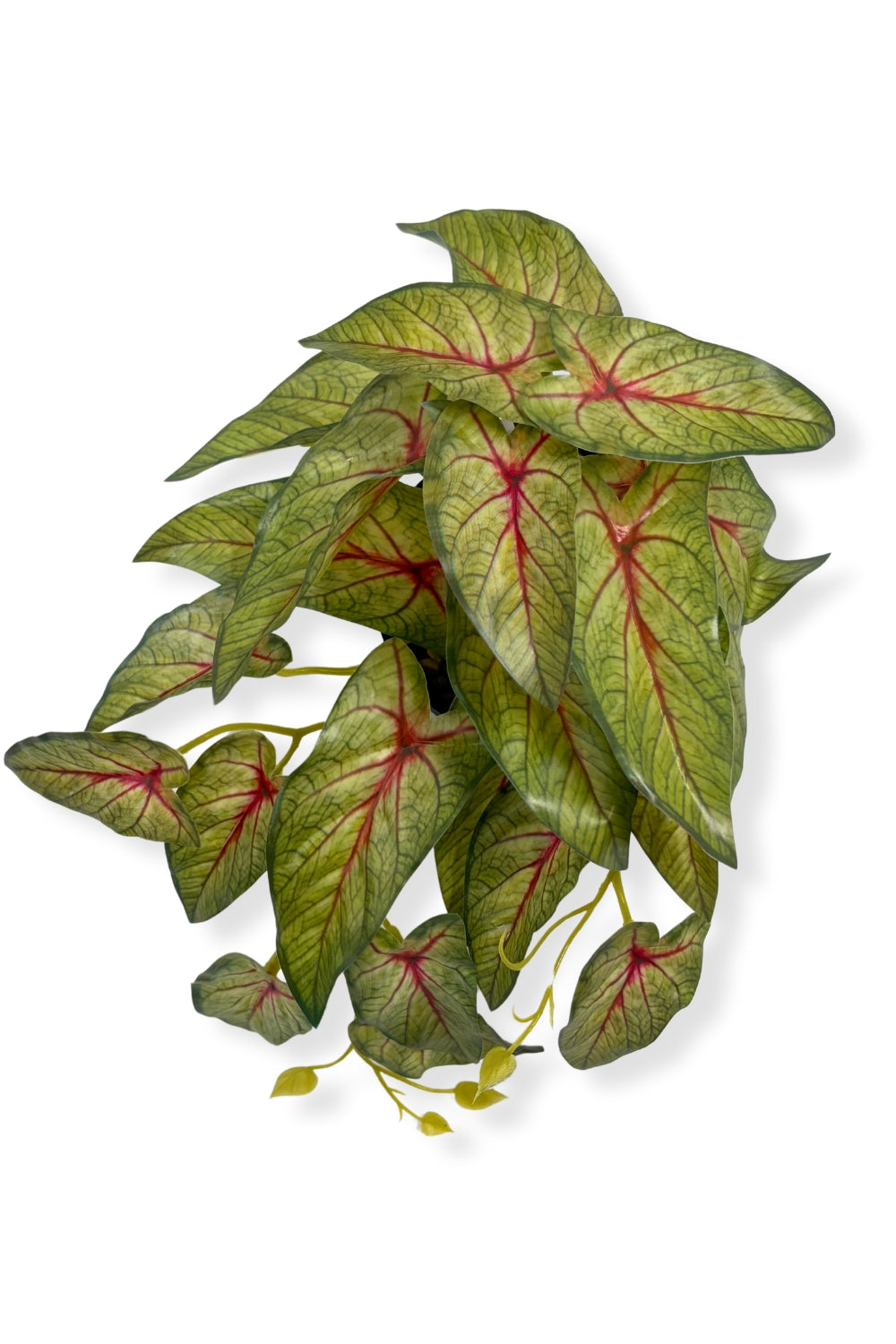Caladium Kunstpflanze 17 cm – prettypflanzen