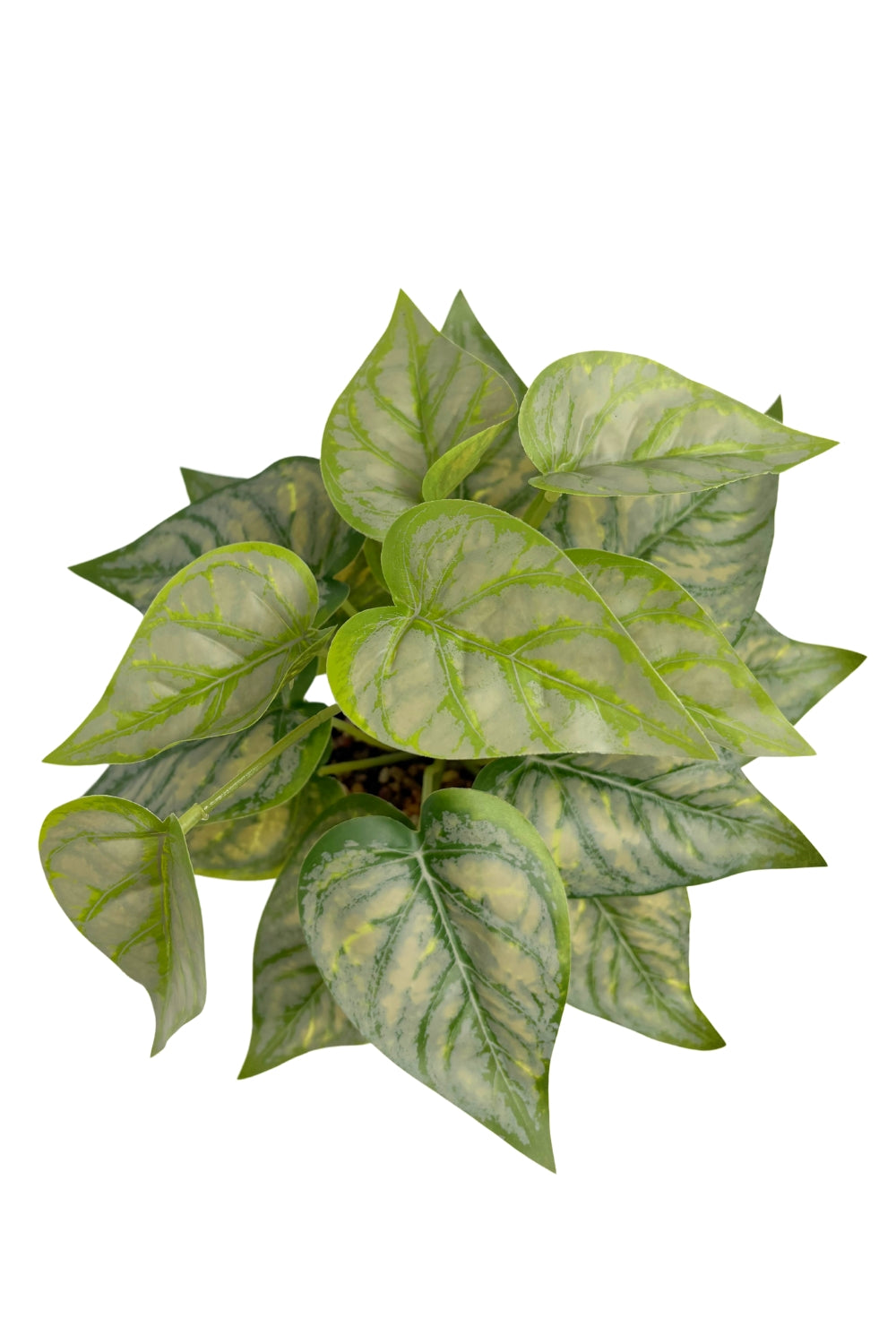 Caladium Kunstpflanze 32 cm - prettypflanzen