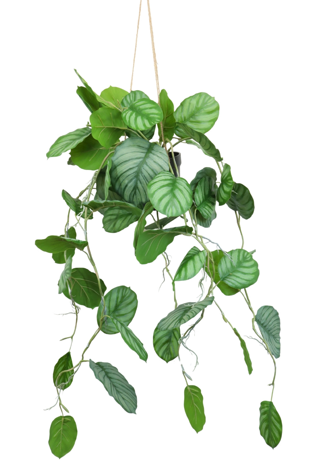 calathea hängt Calathea künstliche Hängepflanze 95cm günstig online kaufen