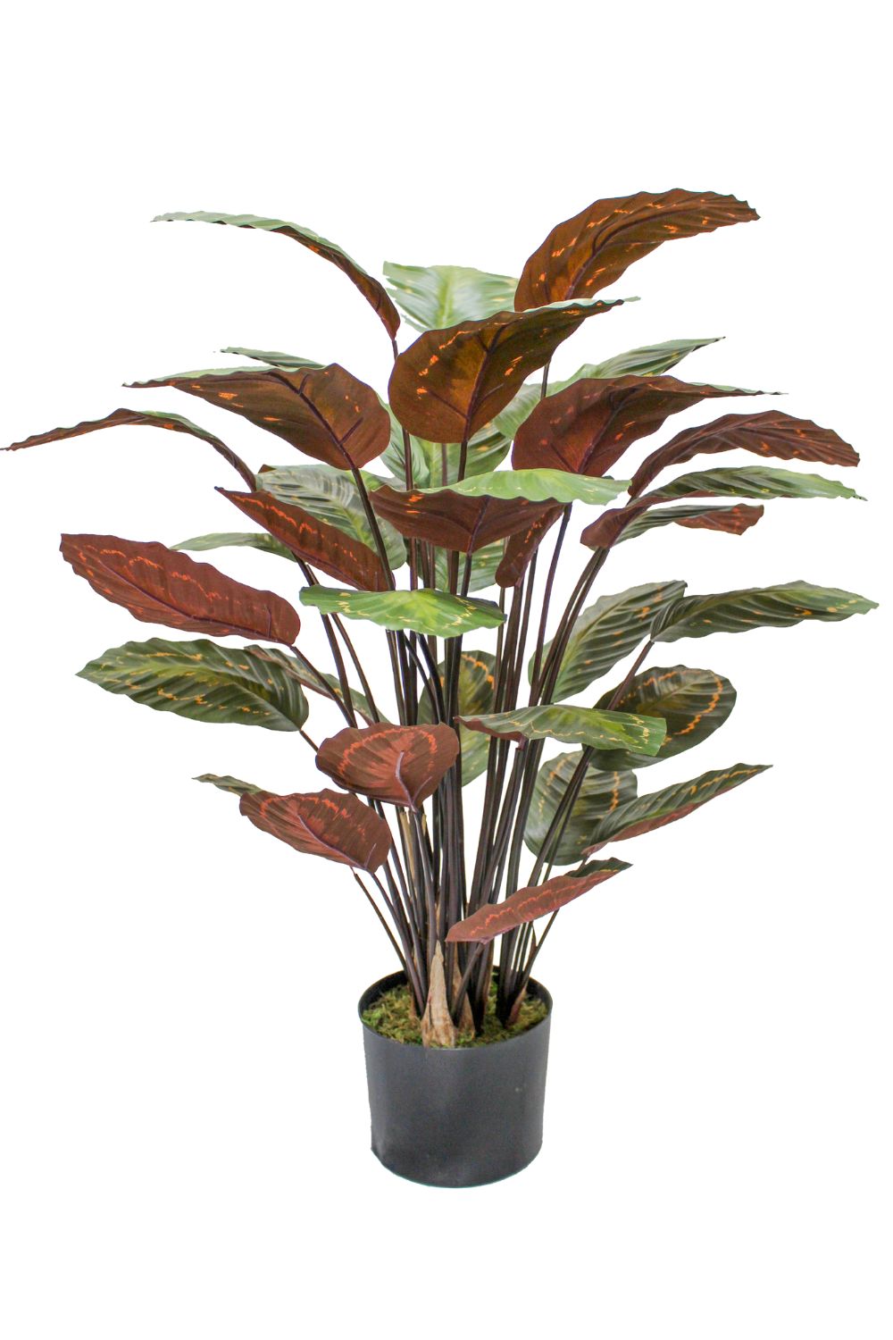 Calathea Kunstpflanze 90 cm schnell günstig online kaufen