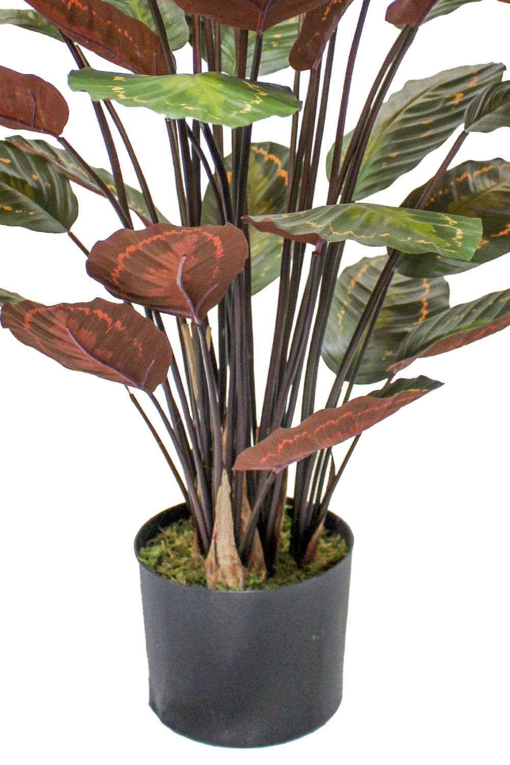 Calathea Kunstpflanze 90cm