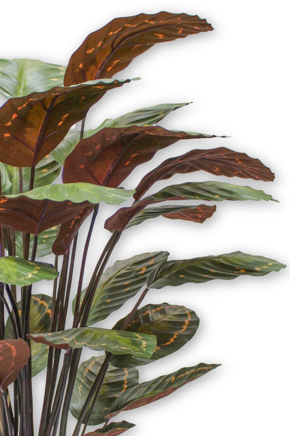Calathea Kunstpflanze 90cm