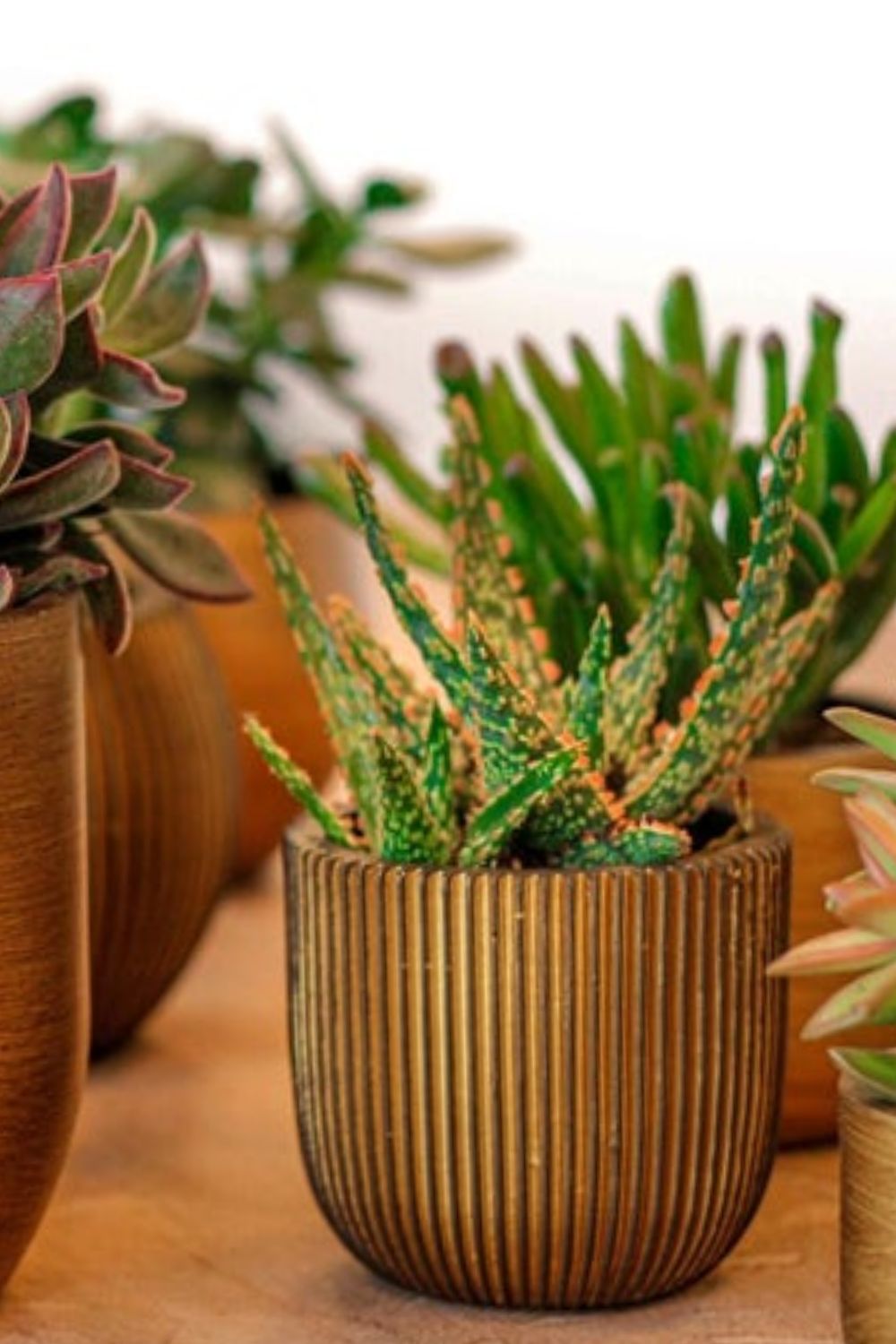 Capi Blumentopf Groove Kugel 14x13 Schwarz/Gold