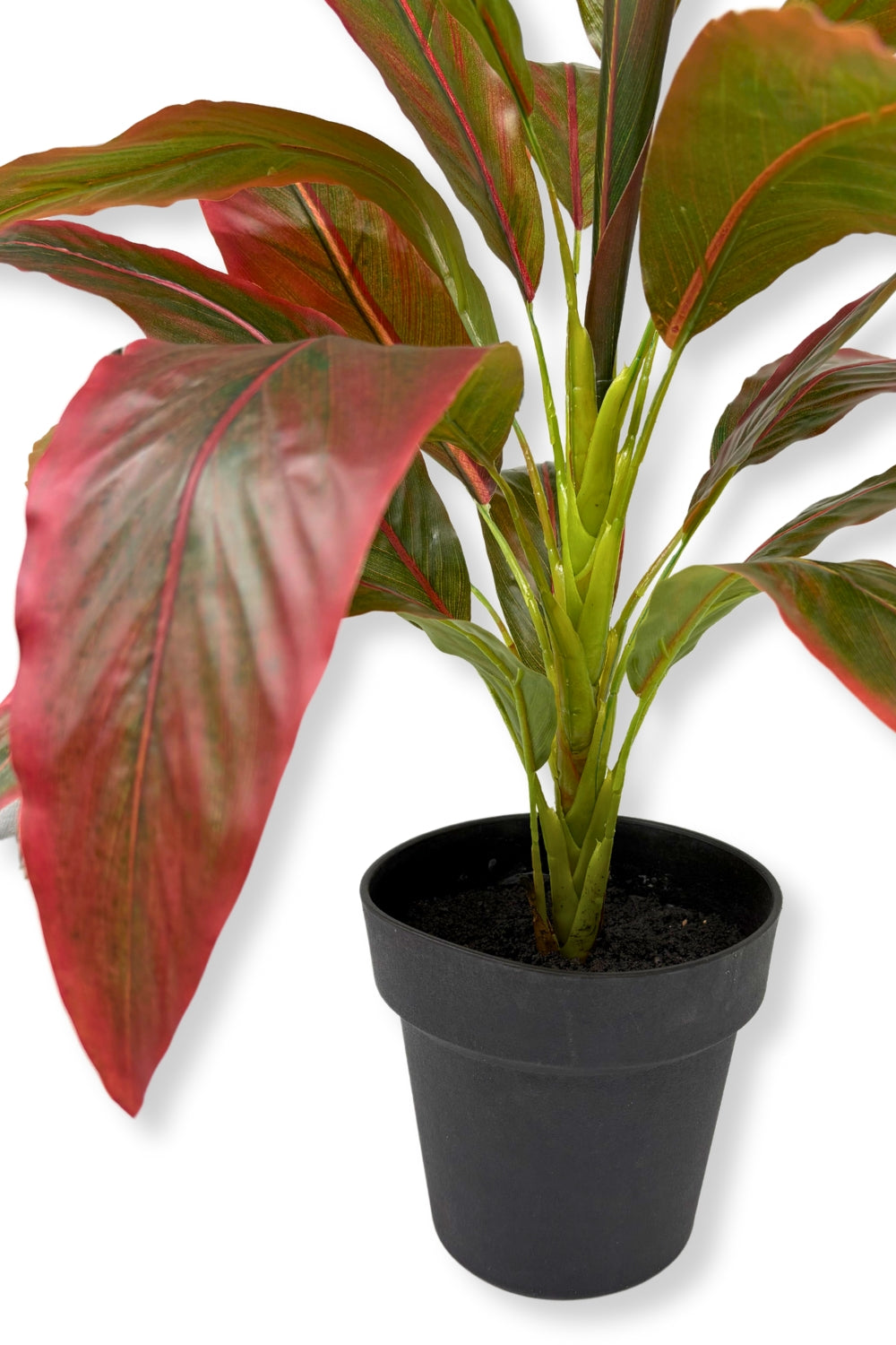 Clematis Kunstpflanze 50 cm - prettypflanzen