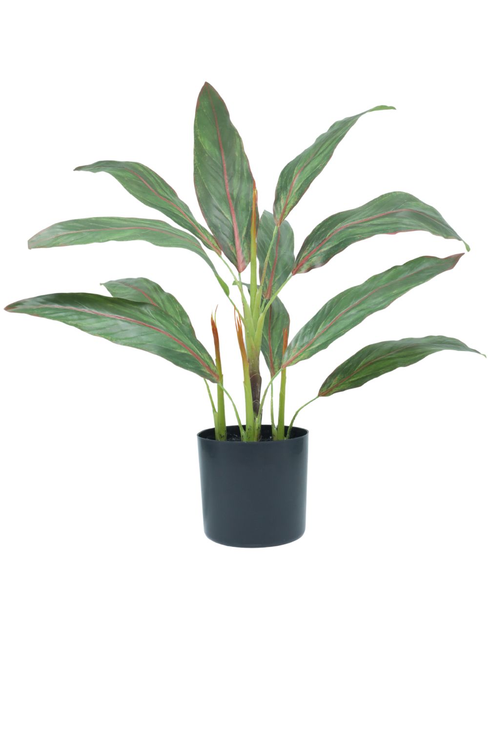 Cordyline Kunstpflanze 50cm - prettypflanzen