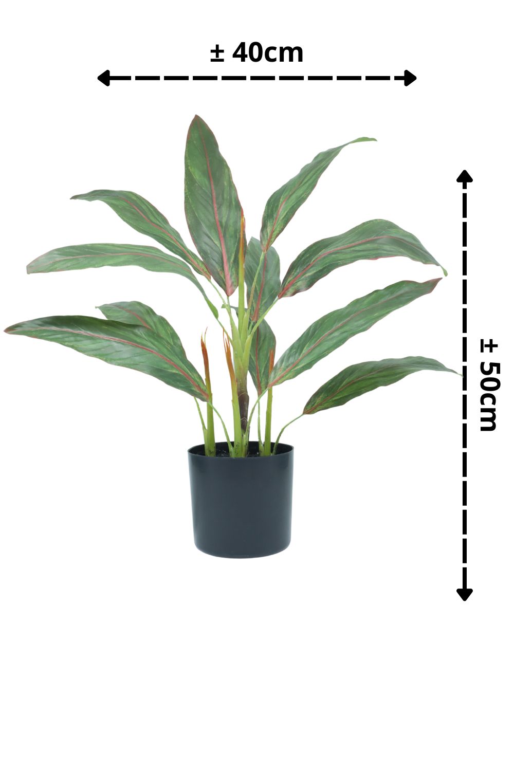 Cordyline Kunstpflanze 50cm - prettypflanzen