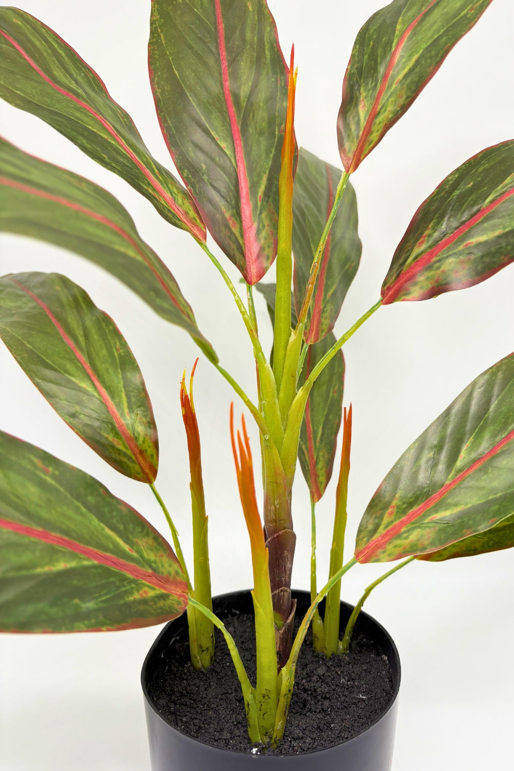 Cordyline Kunstpflanze 50cm - prettypflanzen