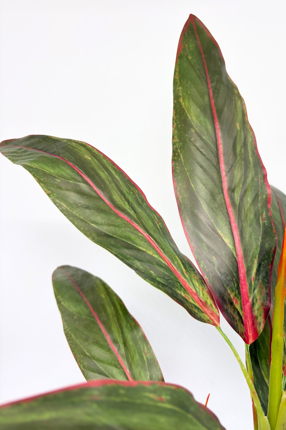 Cordyline Kunstpflanze 50cm - prettypflanzen