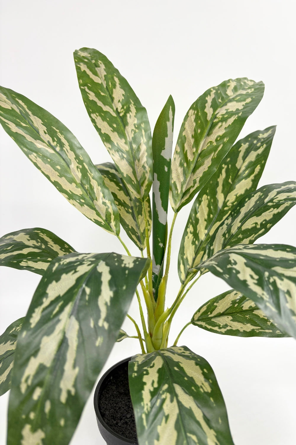 Dracaena Kunstpflanze 40 cm details - prettypflanzen