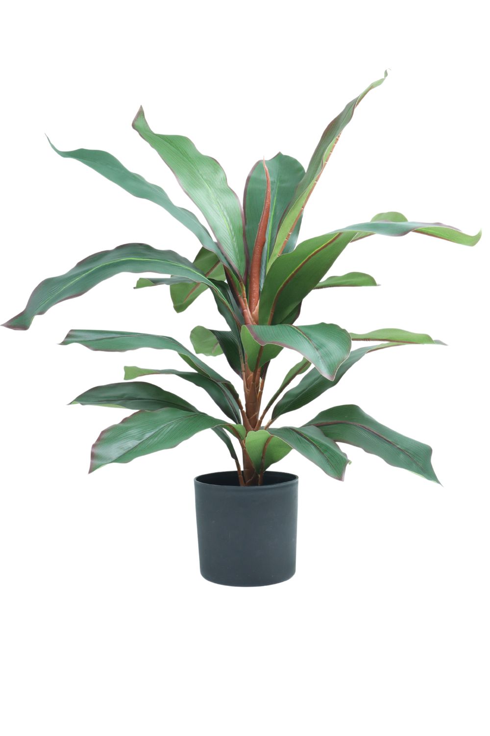 Dracaena Kunstpflanze 60 cm – PrettyPflanzen