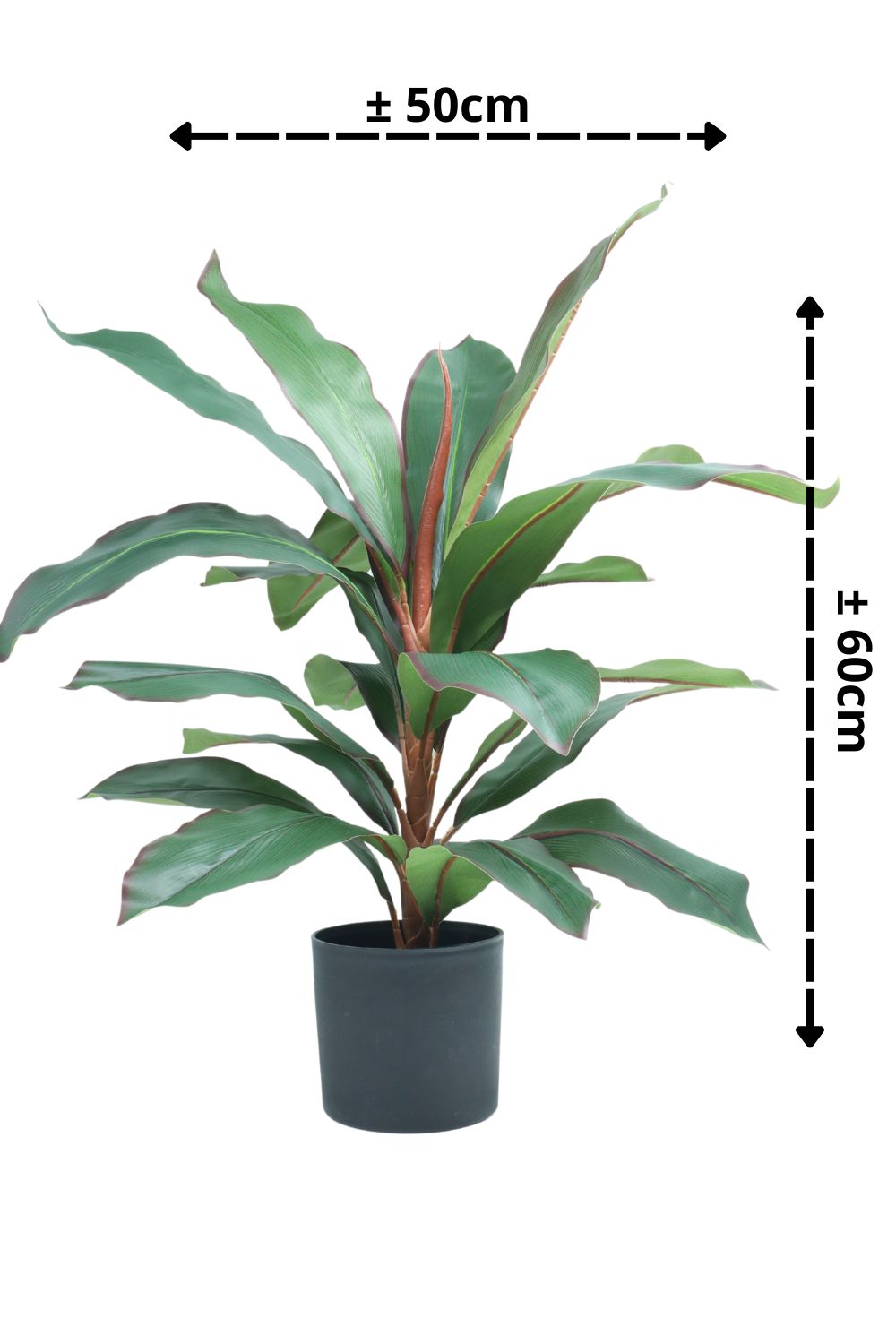 Dracaena Kunstpflanze 60 cm – PrettyPflanzen