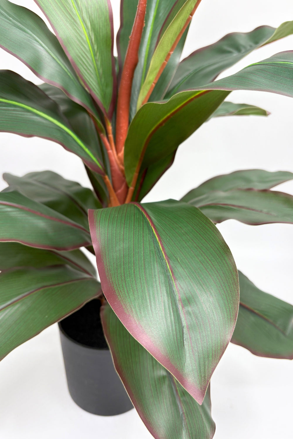 Dracaena Kunstpflanze 60 cm – PrettyPflanzen