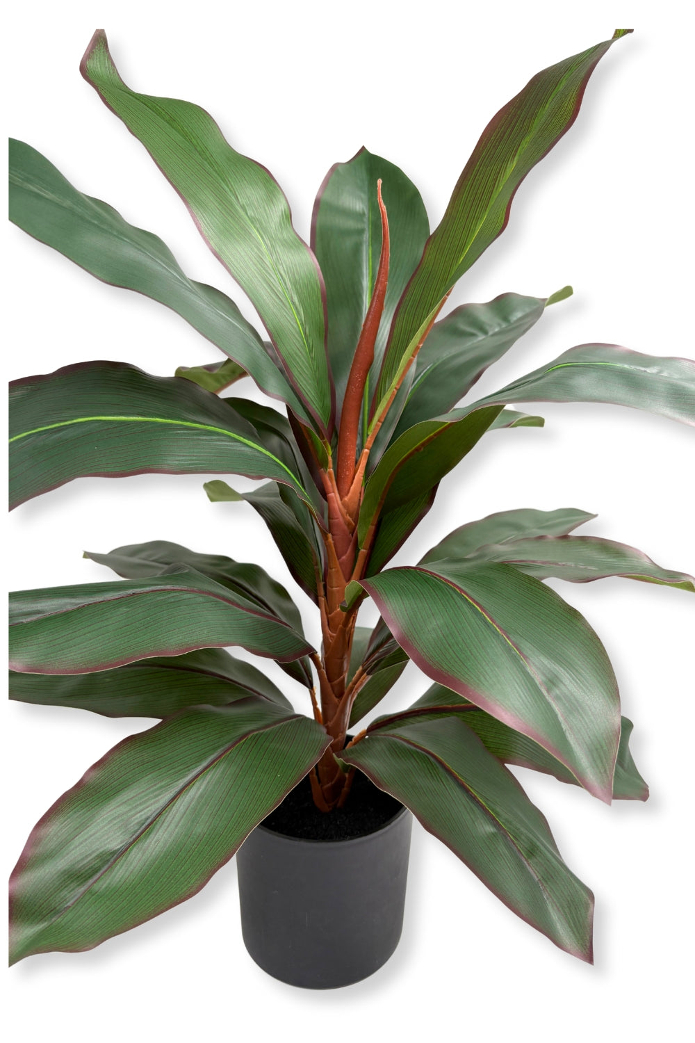 Dracaena Kunstpflanze 60 cm – PrettyPflanzen