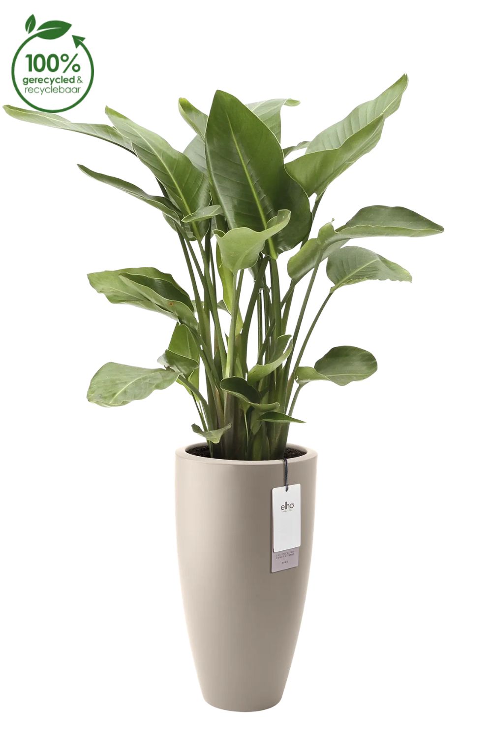 Blumentopf Elho June Round High 30 Balanced Beige