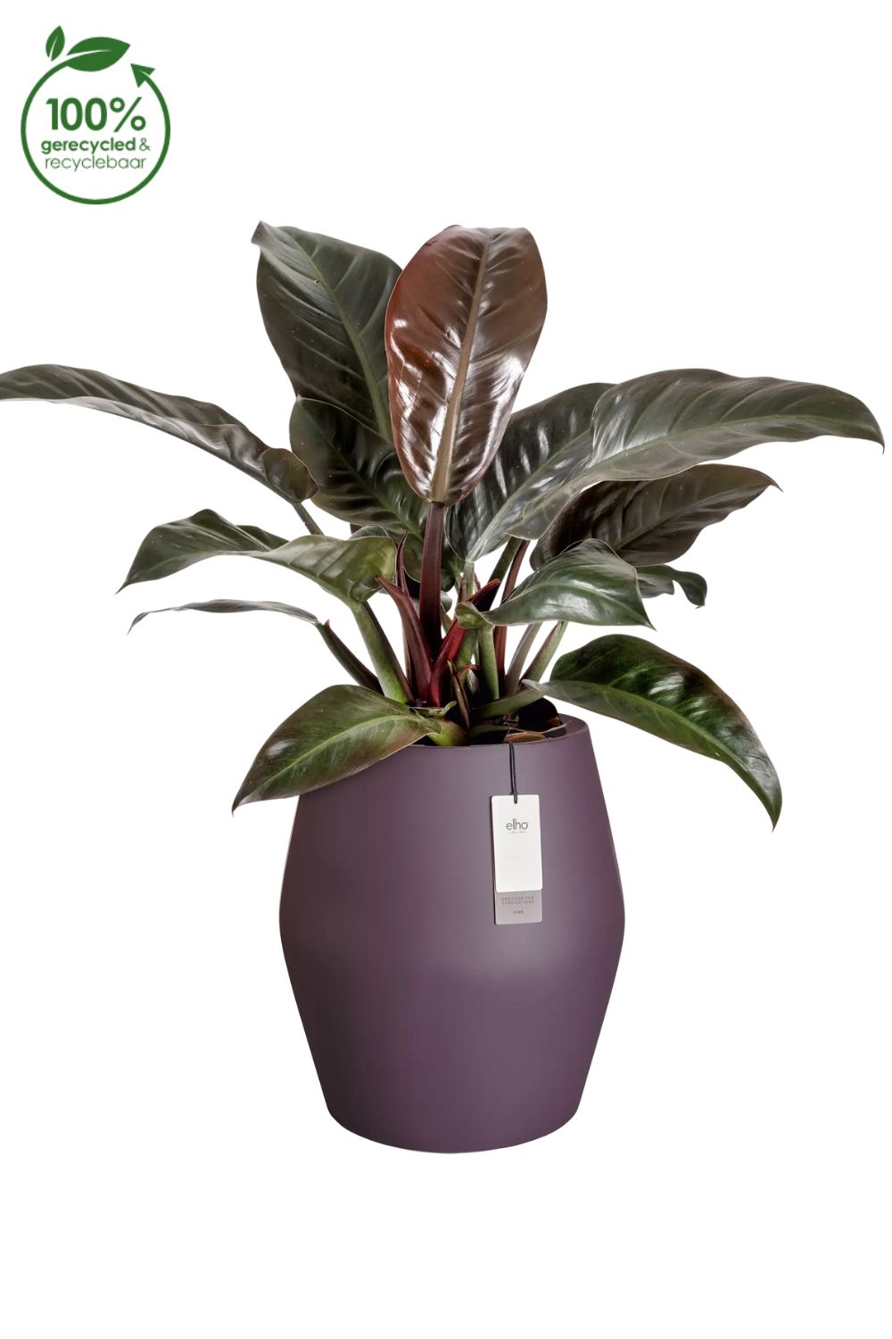 Blumentopf Elho June Split High 46 cm Vintage Pflaume