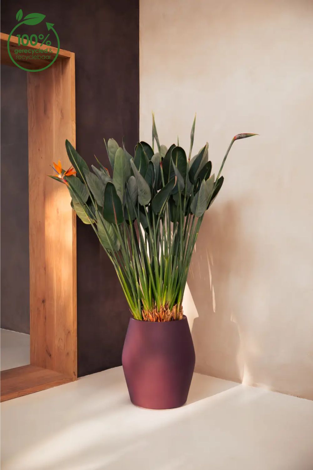 Blumentopf Elho June Split High 46 cm Vintage Pflaume