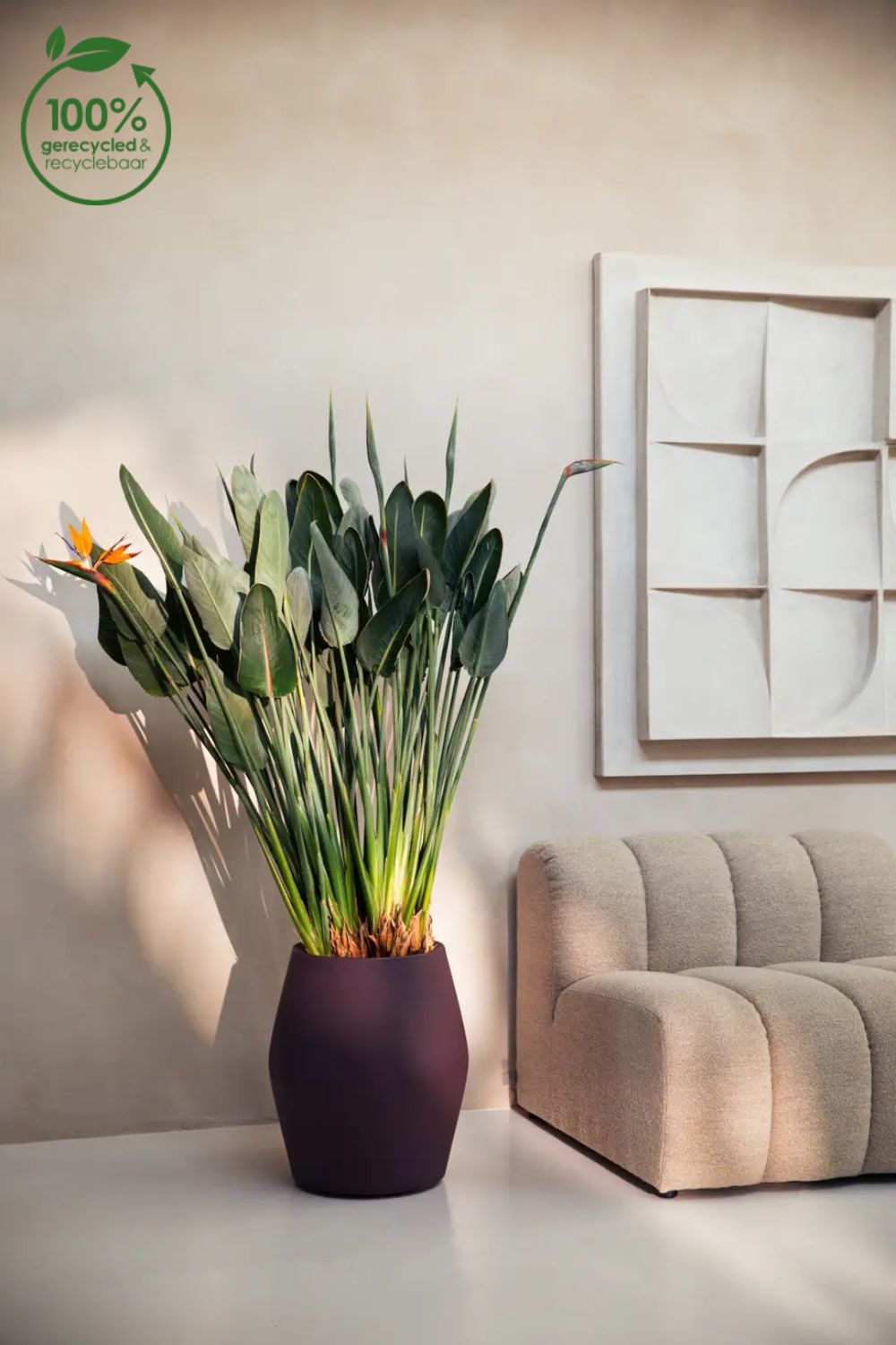 Blumentopf Elho June Split High 46 cm Vintage Pflaume