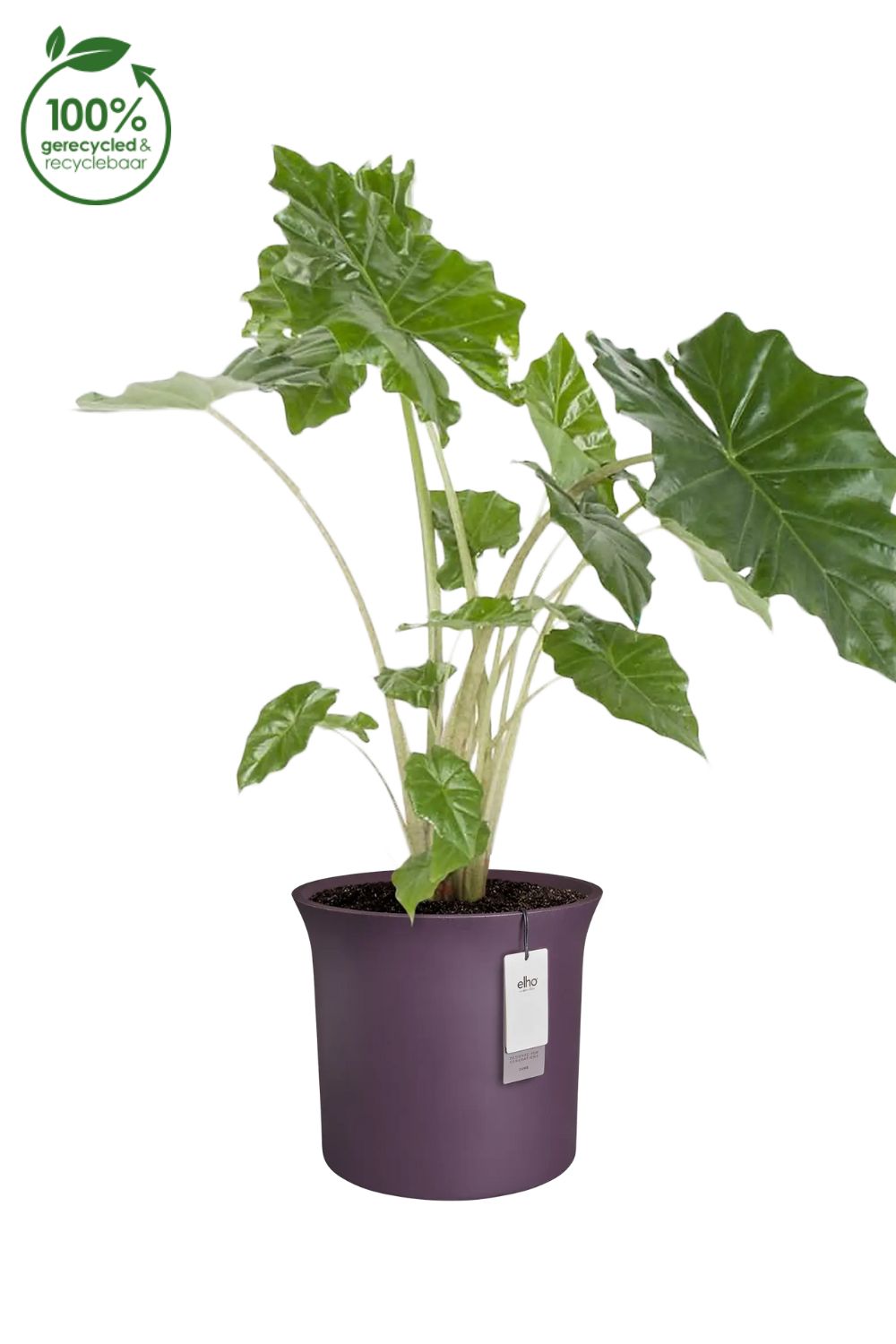 Blumentopf Elho June Tulip 39 cm Vintage Pflaume