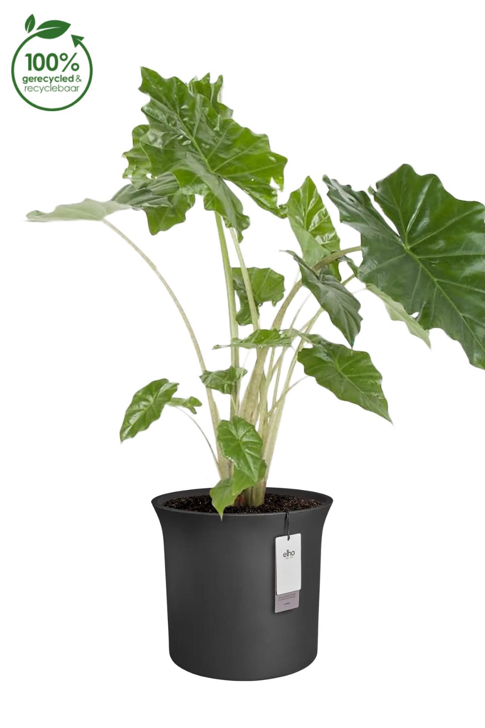 Blumentopf Elho June Tulip 39 cm Schwarz