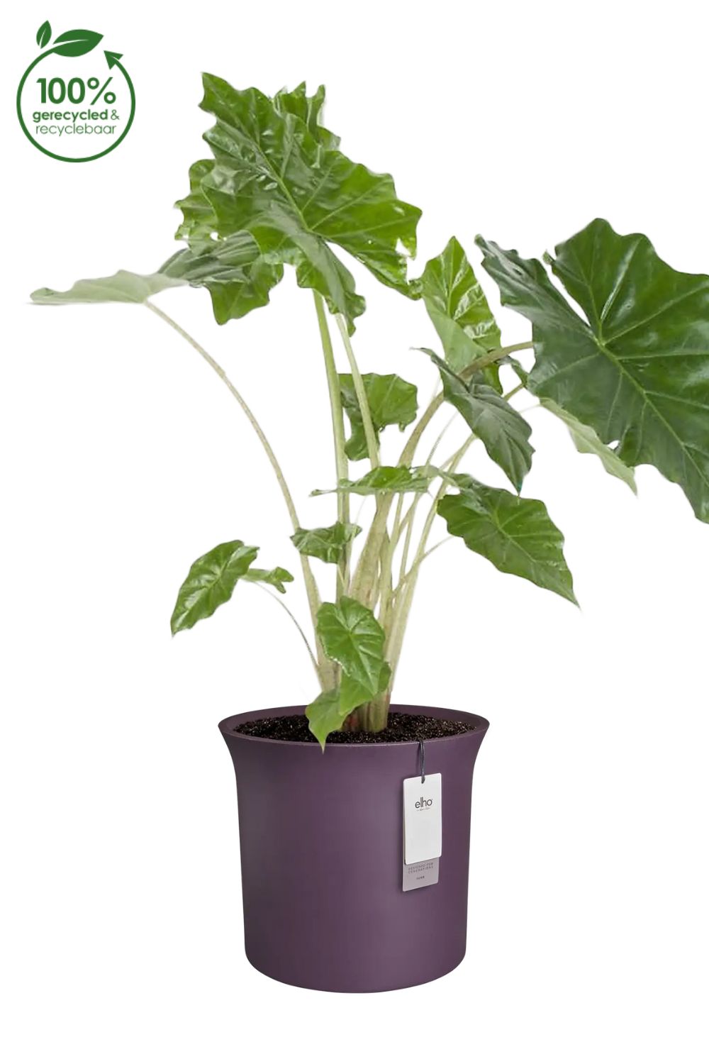 Blumentopf Elho June Tulip 47 cm Vintage Pflaume