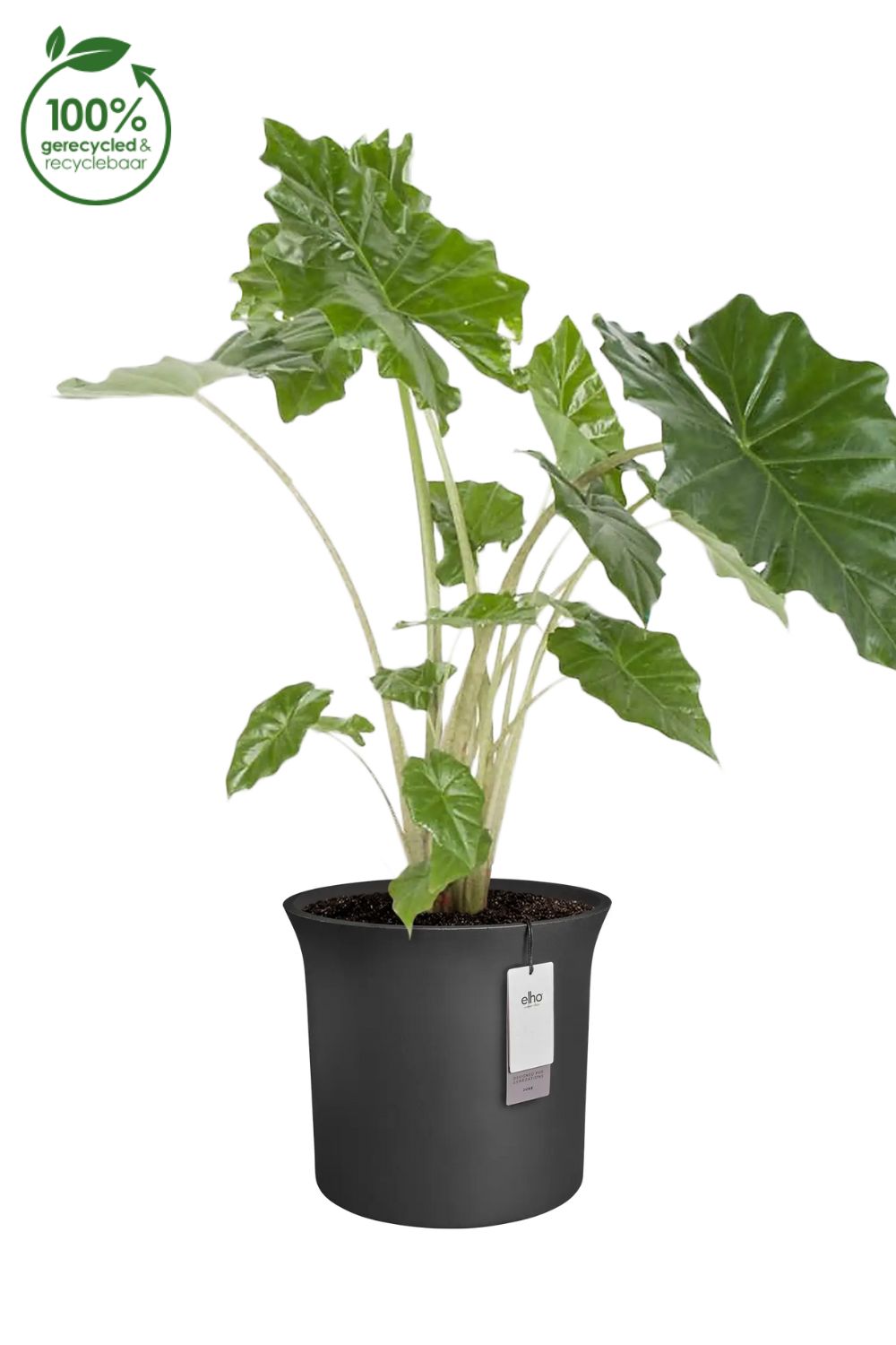 Blumentopf Elho June Tulip 47 cm Schwarz