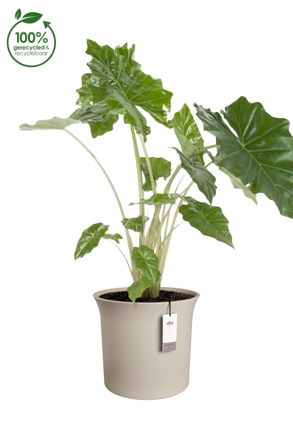 Blumentopf Elho June Tulip 47 cm Balanced Beige