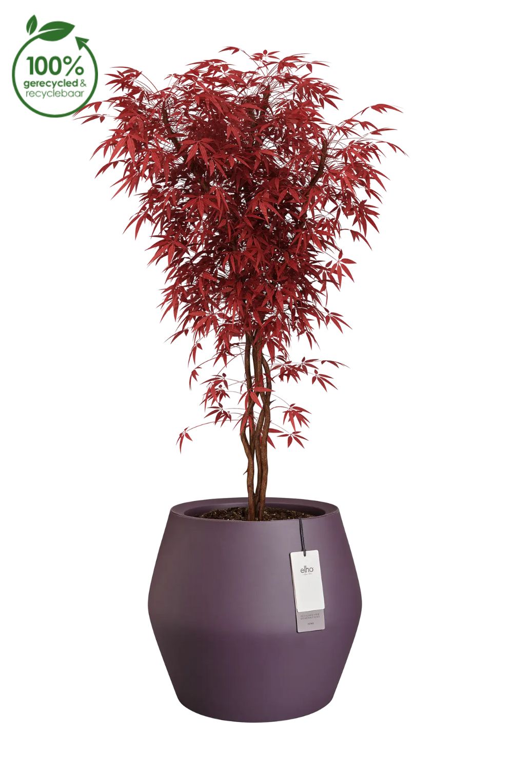 Blumentopf Elho June Split Low 42 cm Vintage Pflaume