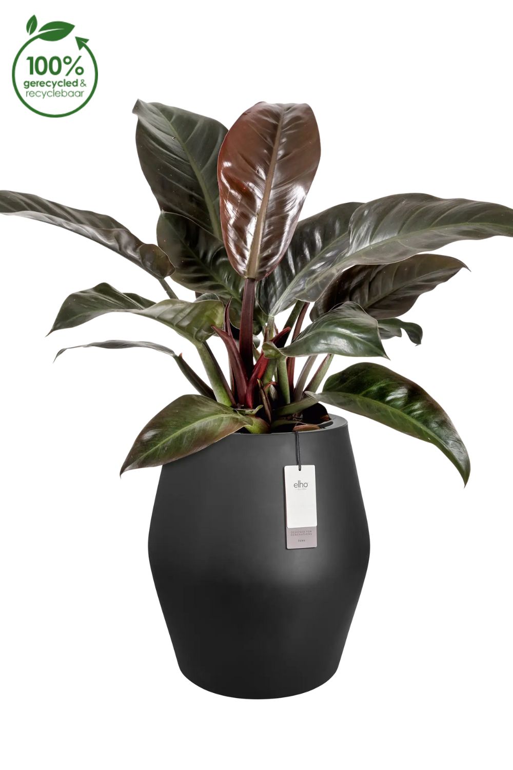 Blumentopf Elho June Split High 53 cm Schwarz