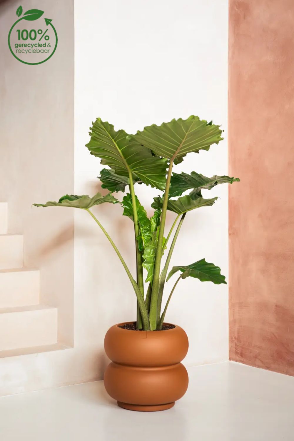 Blumentopf Elho Amber Roll Low 40 cm Karamell