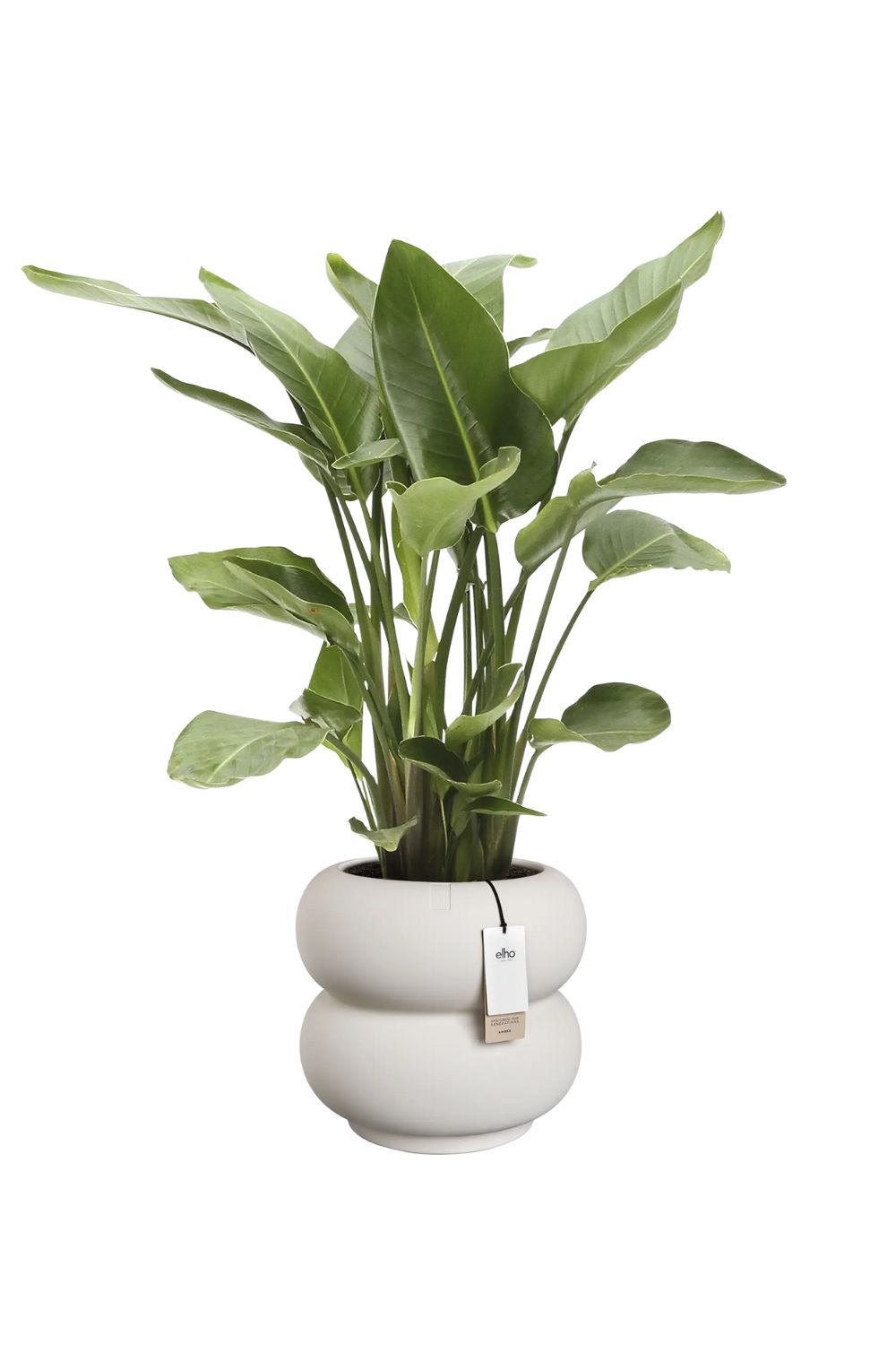 Blumentopf Elho Amber Roll Low 40 cm Leinenweiß