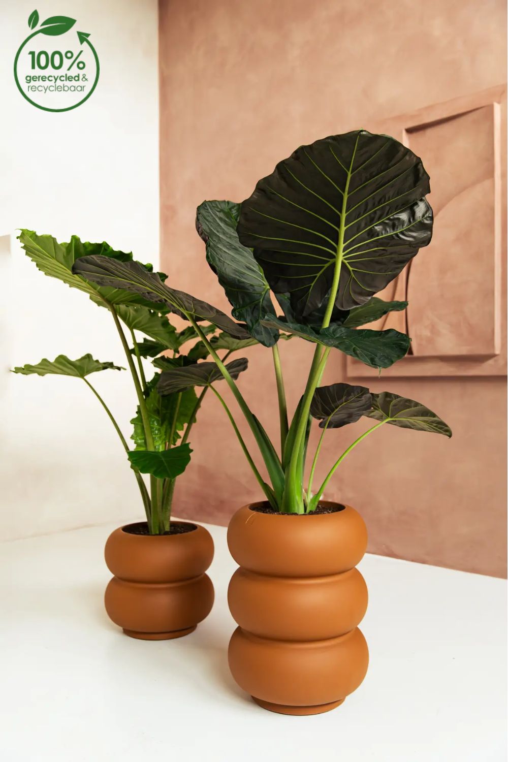 Blumentopf Elho Amber Roll High 58 cm Karamell