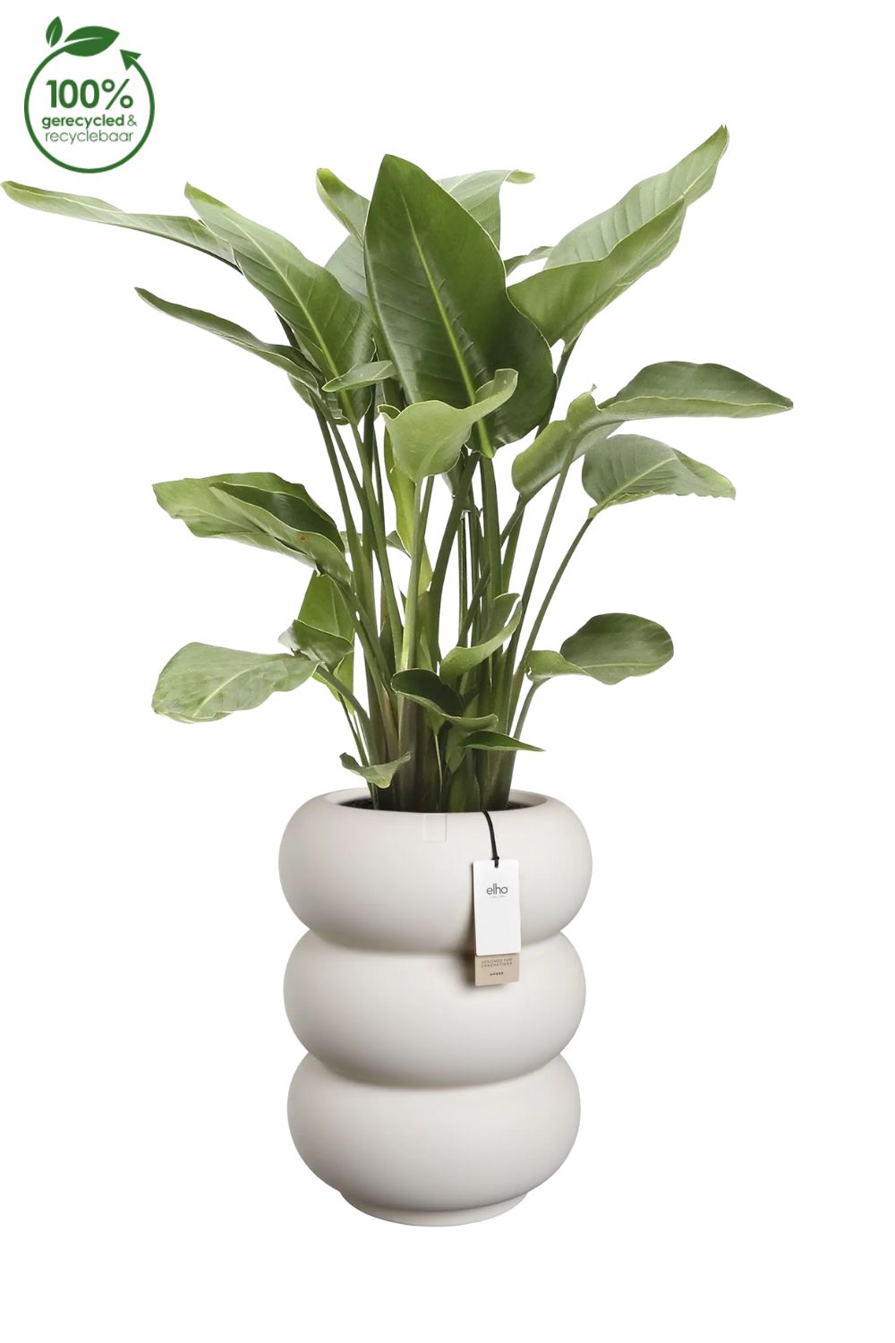 Blumentopf Elho Amber Roll High 58 cm Leinen Weiß