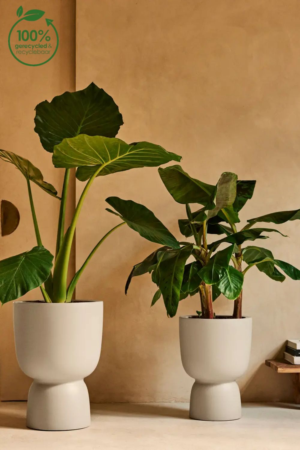 Blumentopf Elho Amber Coupe 35 cm Leinen Weiß