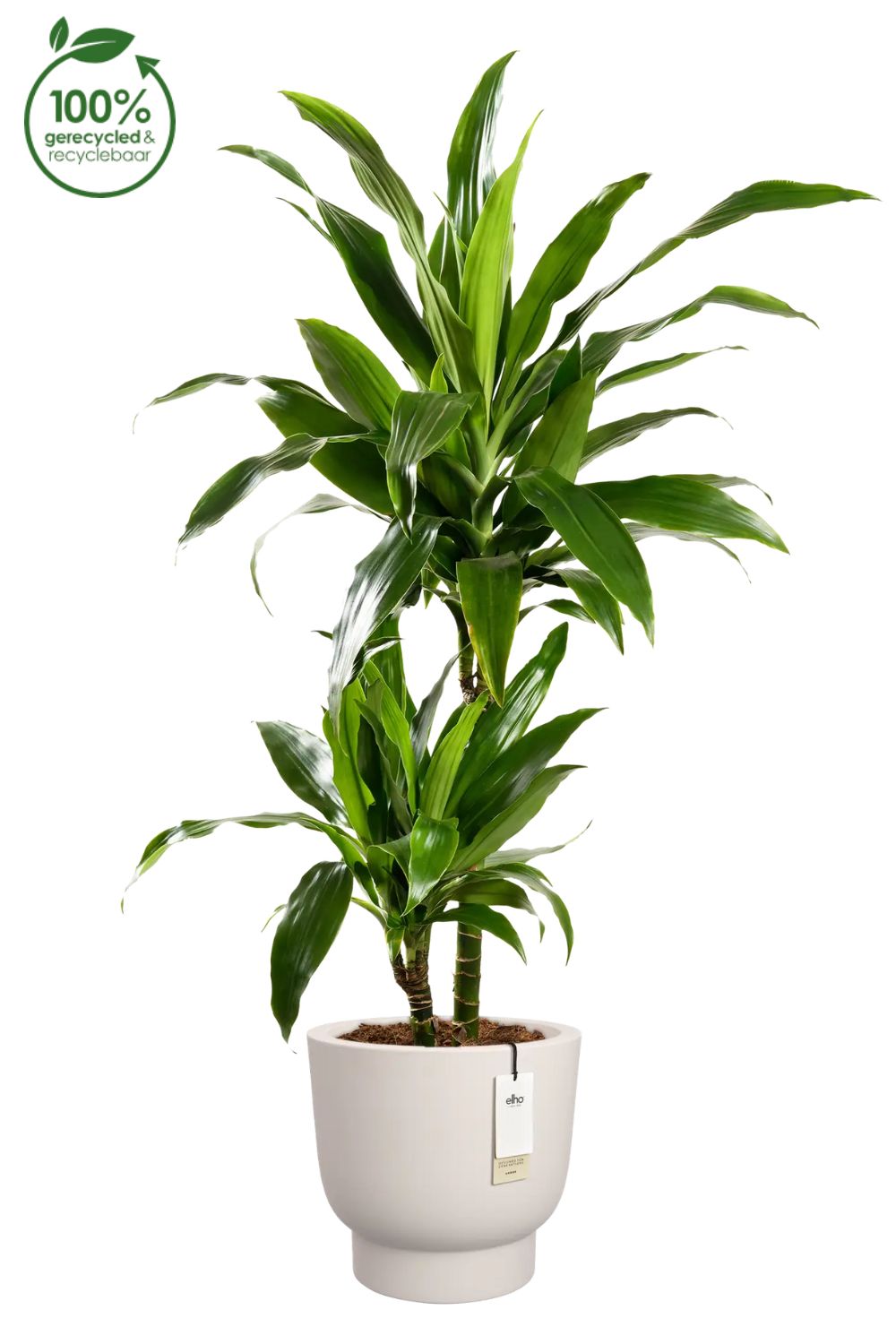 Blumentopf Elho Amber Grail 30 cm Leinen Weiß