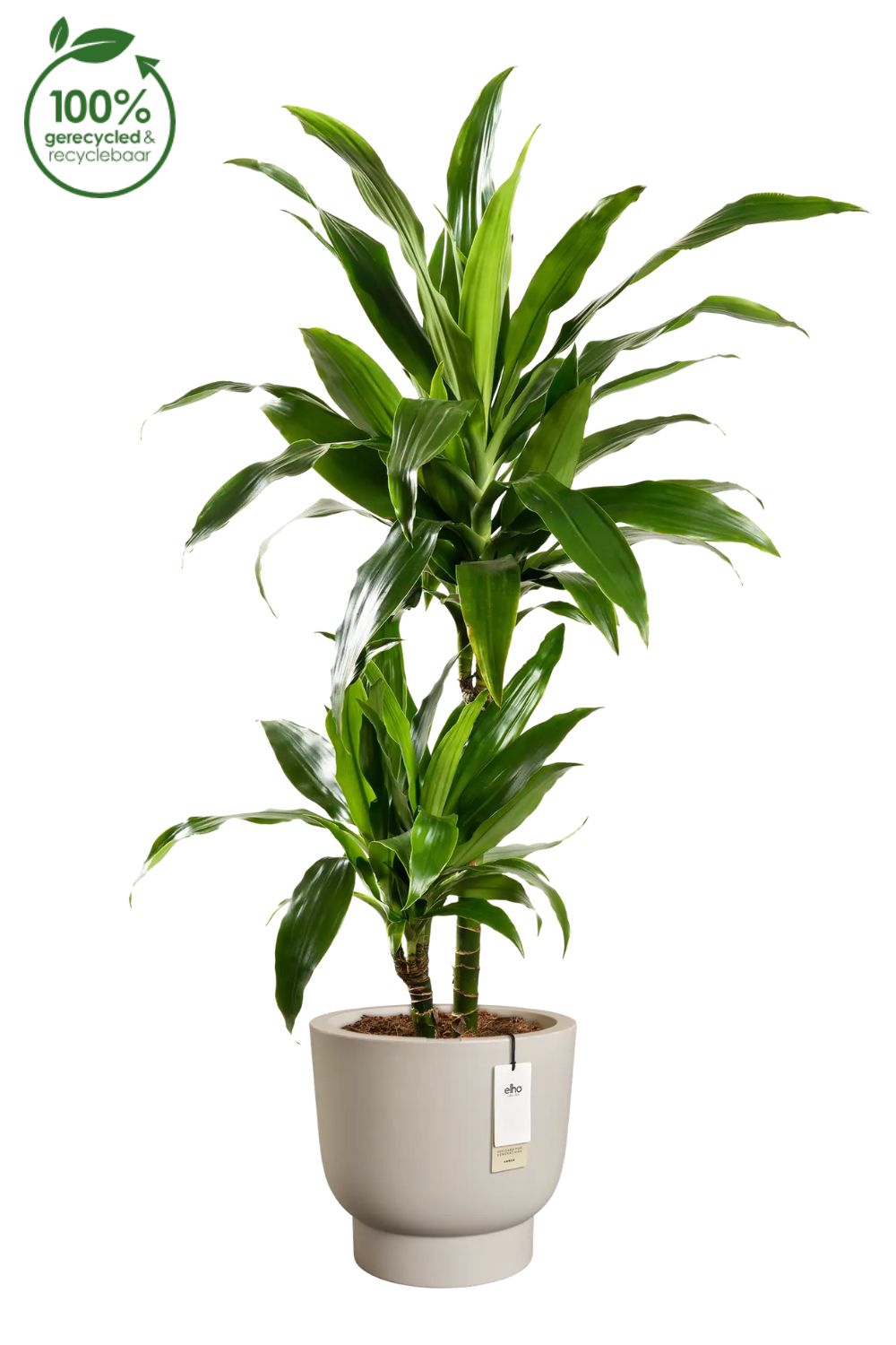 Blumentopf Elho Amber Grail 30 cm Balanced Beige