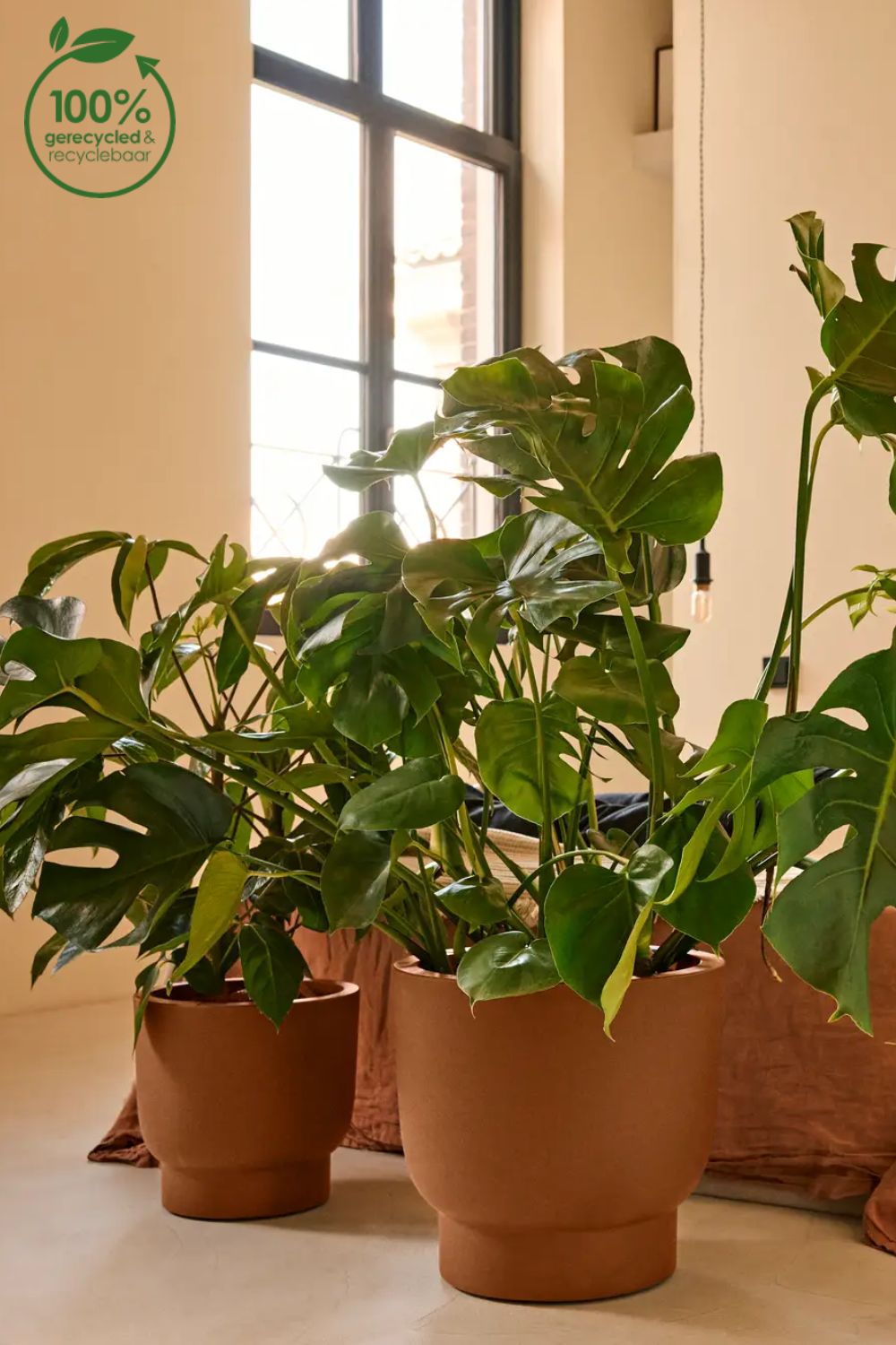 Blumentopf Elho Amber Grail 30 cm Karamell