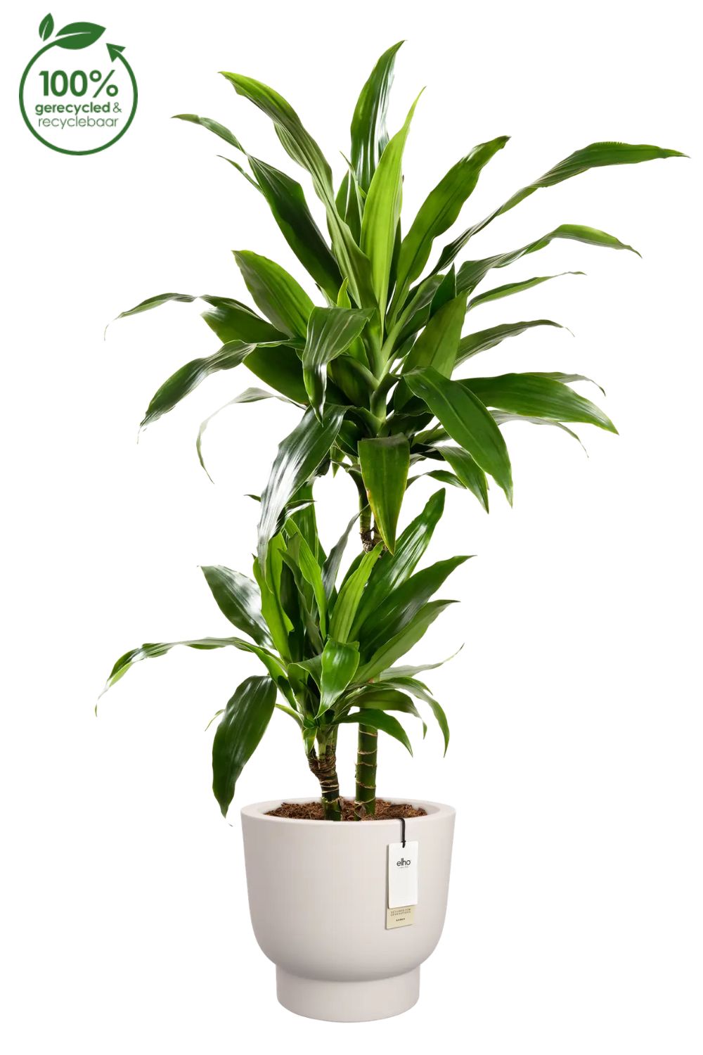 Blumentopf Elho Amber Grail 38 cm Leinen Weiß