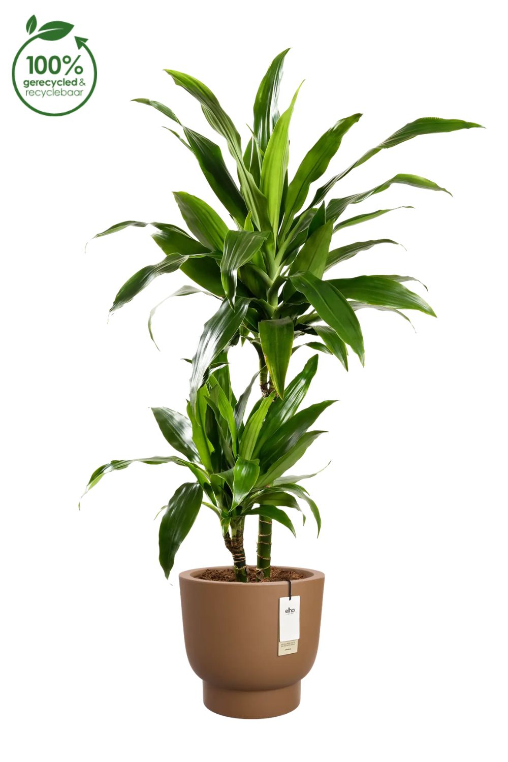 Blumentopf Elho Amber Grail 38 cm Karamell