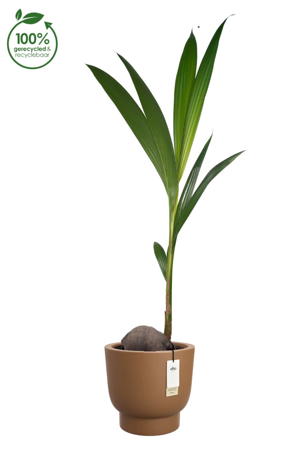 Blumentopf Elho Amber Grail 38 cm Karamell